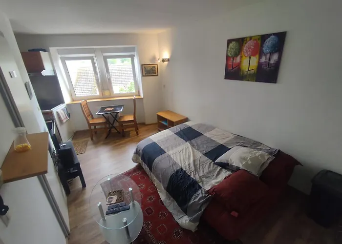 Appartement La Cour Des Rois *